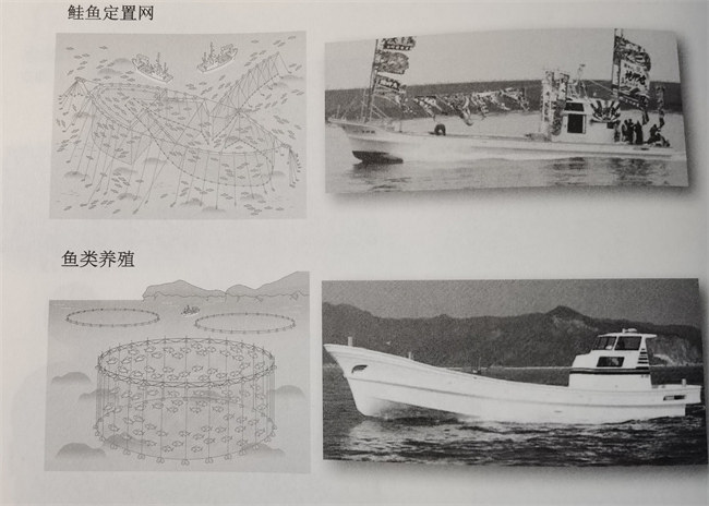 日本的玻璃钢渔船发展之路       -3