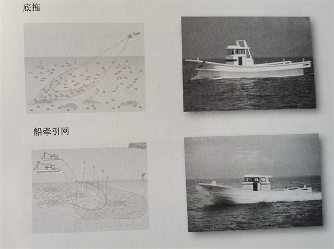 日本的玻璃钢渔船发展之路       -4